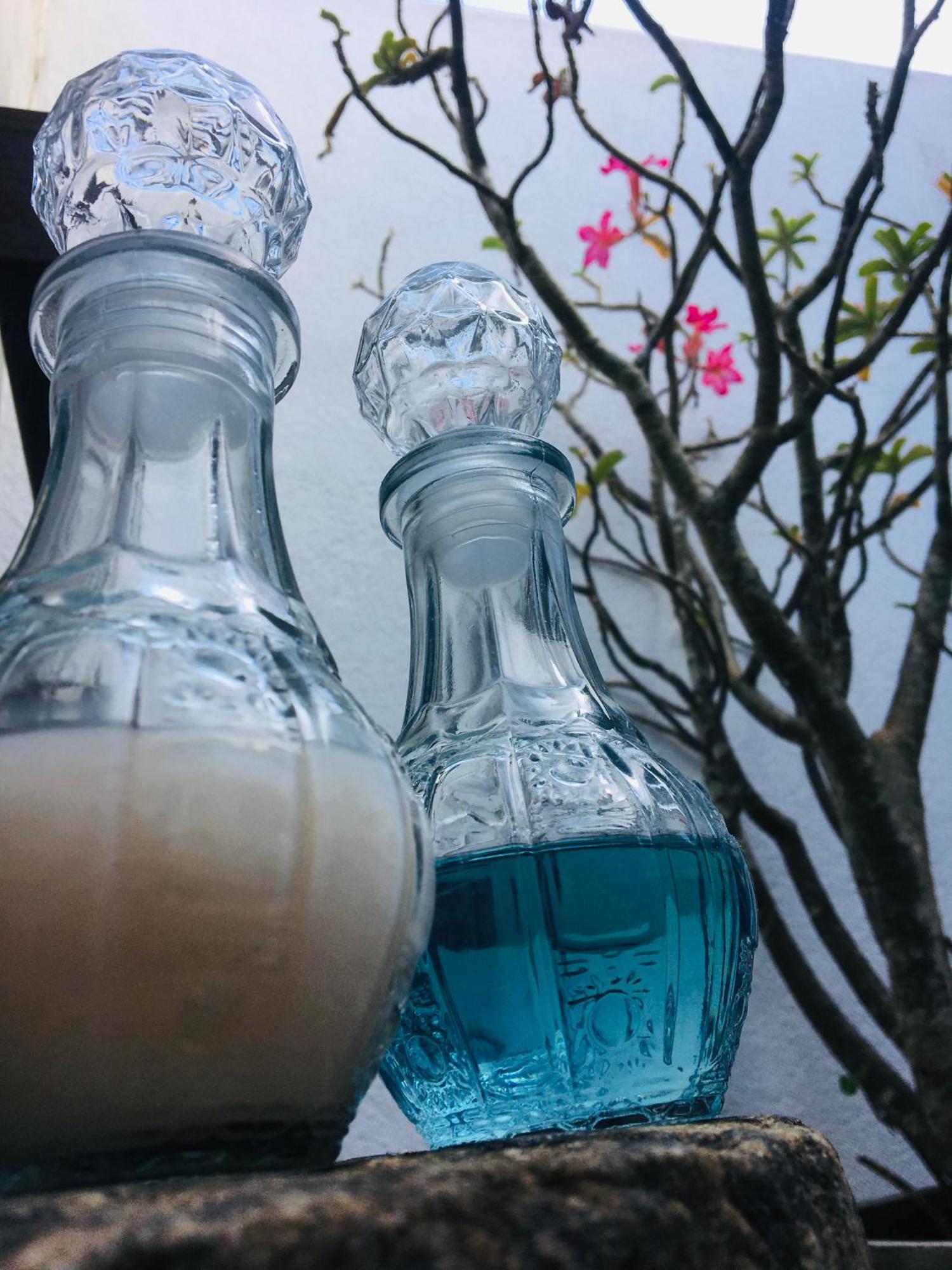 海龟生态海滩酒店 马特勒 外观 照片